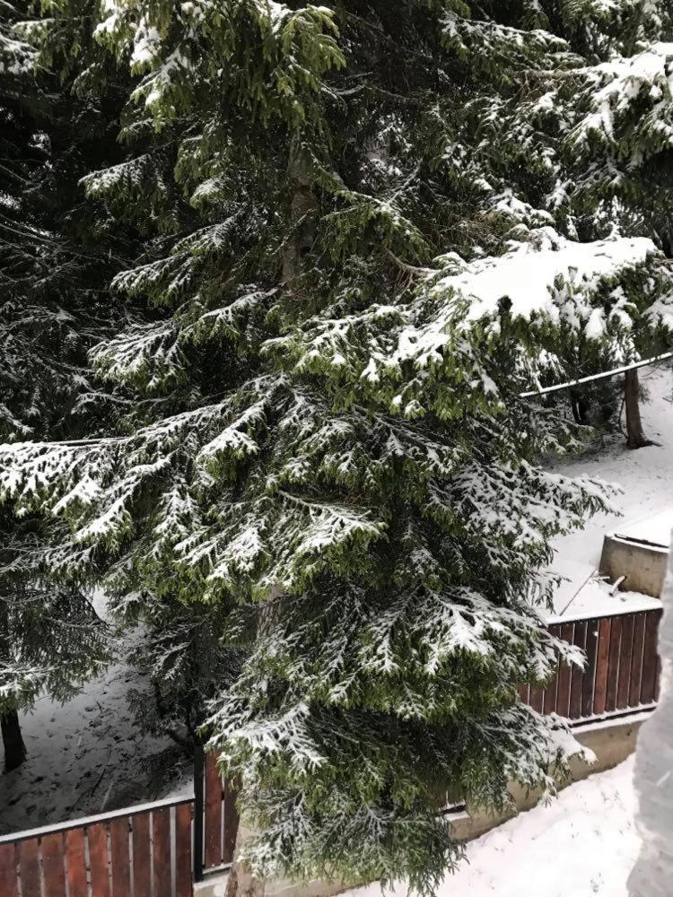 Შენ Ხარ Ცემში / You Are In Tsemi Exterior foto